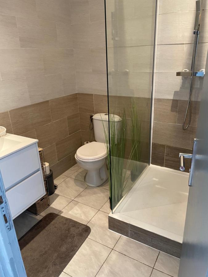Centre Carcassonne Apartment With Private Sunny Terrace Kültér fotó